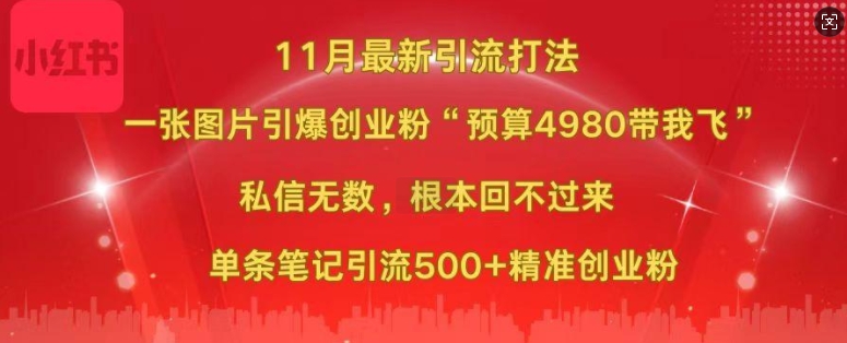 小红书11月最新图片打粉，一张图片引爆创业粉，“预算4980带我飞”，单条引流500+精准创业粉-灵动共创