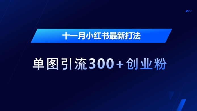 十一月小红书最新打法，单图引流300+创业粉【揭秘】-灵动共创
