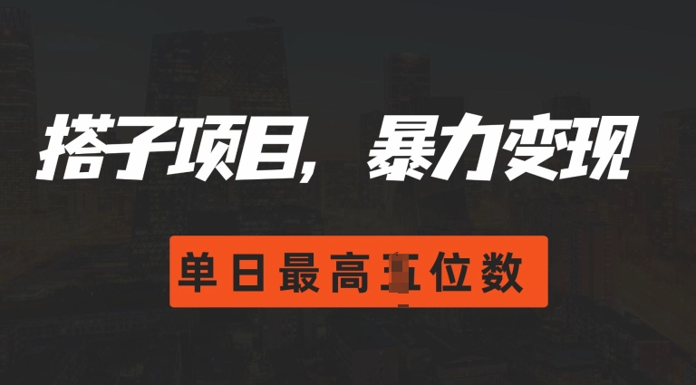 2024搭子玩法，0门槛，暴力变现，单日最高破四位数【揭秘】-灵动共创