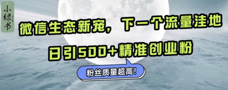 微信生态新宠小绿书：下一个流量洼地，日引500+精准创业粉，粉丝质量超高-灵动共创
