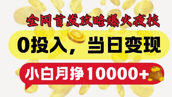 全网首发爆火夜校，0投入，当日变现，小白轻松月入1w+【揭秘】-灵动共创