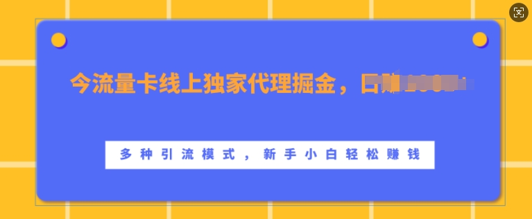 流量卡线上独家代理掘金，日入1k+ ，多种引流模式，新手小白轻松上手【揭秘】-灵动共创