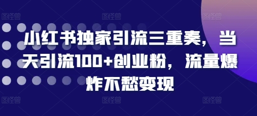 小红书独家引流三重奏，当天引流100+创业粉，流量爆炸不愁变现【揭秘】-灵动共创