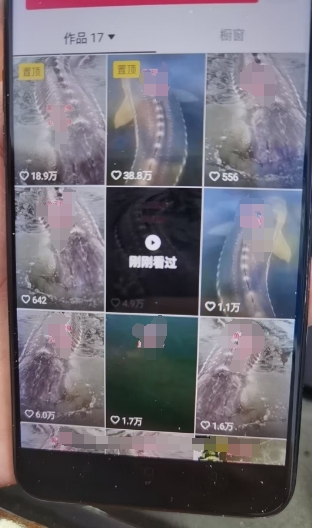 外面卖399的国学佛像原创暴力起号技术，快速起号，7天可达到一个万粉号-灵动共创