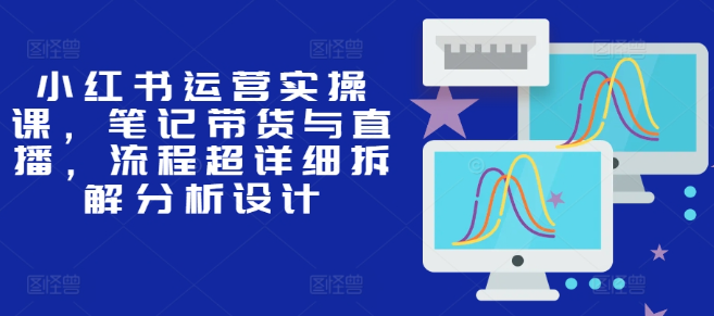 小红书运营实操课，笔记带货与直播，流程超详细拆解分析设计-灵动共创