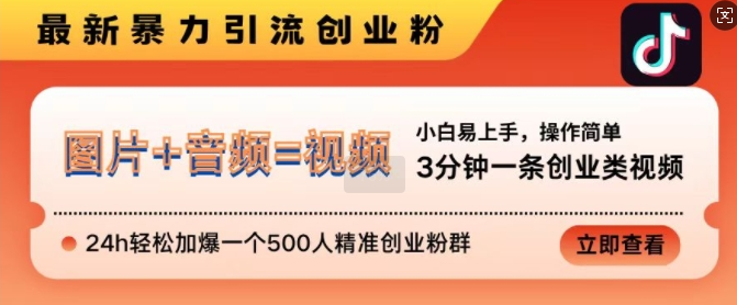 抖音最新暴力引流创业粉，3分钟一条创业类视频，24h轻松加爆一个500人精准创业粉群【揭秘】-灵动共创