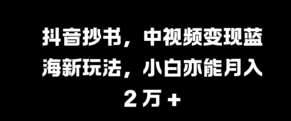 抖音抄书，中视频变现蓝海新玩法，小白亦能月入 过W【揭秘】-灵动共创