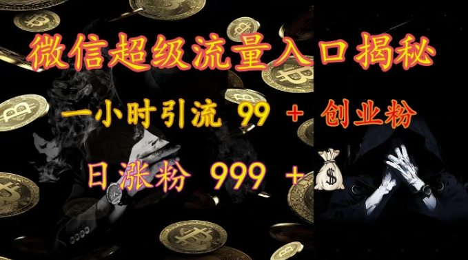 微信超级流量入口揭秘：一小时引流 99 + 创业粉，日涨粉 999 +-灵动共创
