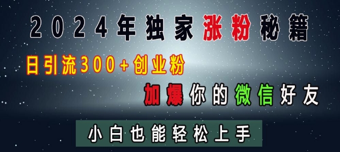 2024年独家涨粉秘籍，日引流300+创业粉，加爆你的微信好友，小白也能轻松上手-灵动共创