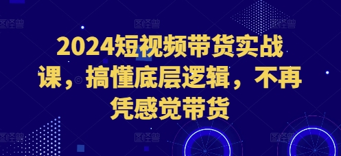 2024短视频带货实战课，搞懂底层逻辑，不再凭感觉带货-灵动共创