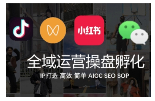 全域运营操盘(抖音+私域+小红书)，IP打造高效简单-灵动共创