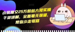 小说推文25万粉丝大佬实操干货讲解,全面毫无保留,帮你少走弯路-灵动共创