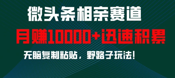 微头条相亲赛道，迅速积累，无脑复制粘贴，野路子玩法，月入1w-灵动共创