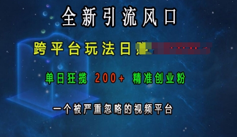 全新引流风口，跨平台玩法日入上k，单日狂揽200+精准创业粉，一个被严重忽略的视频平台-灵动共创