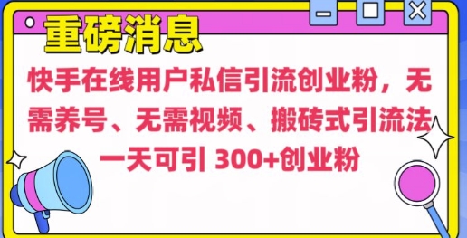 快手最新引流创业粉方法，无需养号、无需视频、搬砖式引流法【揭秘】-灵动共创
