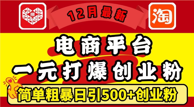 12月最新：电商平台1元打爆创业粉，简单粗暴日引500+精准创业粉，轻松月入过W【揭秘】-灵动共创