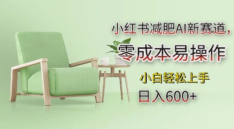 小红书减肥AI新赛道，零成本易操作，日入多张，小白轻松上手【揭秘】-灵动共创
