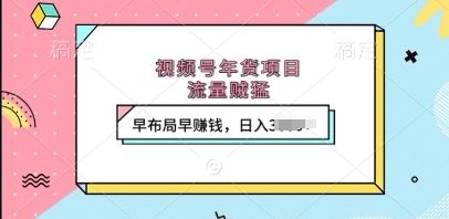 视频号年货项目，流量贼猛，早布局早挣钱，日入上k【揭秘】-灵动共创