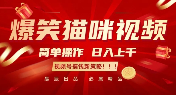 爆笑猫咪视频：简单操作，日入过K，视频号搞钱新策略【揭秘】-灵动共创