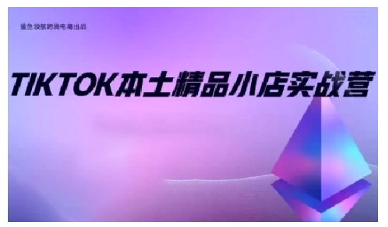 TikTok本土精品小店出海实战营，从入门到高阶，不止0-1!-灵动共创