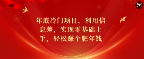 年底冷门项目，利用信息差，实现零基础上手，轻松赚个肥年钱【揭秘】-灵动共创