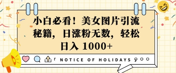 小白必看，美女图片引流秘籍，日涨粉无数，轻松日入几张【揭秘】-灵动共创