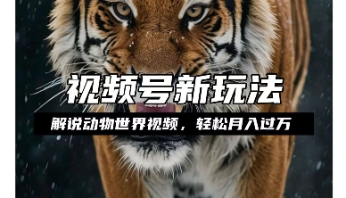 利用动物世界解说视频，赚分成计划收益，轻松月入过W，操作简单【揭秘】-灵动共创