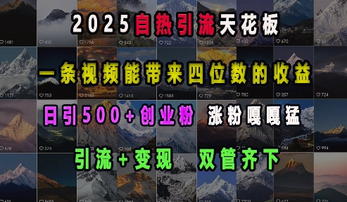 2025自热引流天花板，一条视频能带来四位数的收益，引流+变现双管齐下，日引500+创业粉，涨粉嘎嘎猛-灵动共创
