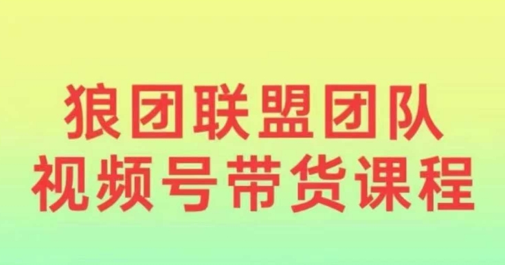 狼团联盟2024视频号带货，0基础小白快速入局视频号-灵动共创