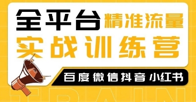 全平台精准流量实战训练营，百度微信抖音小红书SEO引流教程-灵动共创