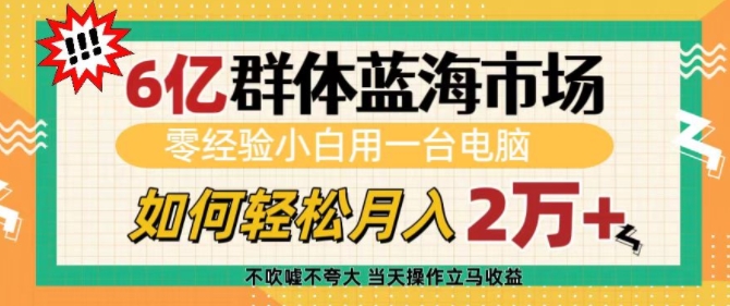 6亿群体蓝海市场，零经验小白用一台电脑，如何轻松月入过w【揭秘】-灵动共创