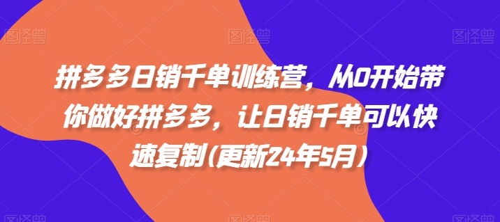 拼多多日销千单训练营，从0开始带你做好拼多多，让日销千单可以快速复制(更新24年12月)-灵动共创