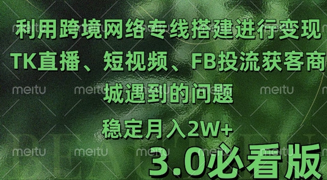 利用跨境电商网络及搭建TK直播、短视频、FB投流获客以及商城遇到的问题进行变现3.0必看版【揭秘】-灵动共创