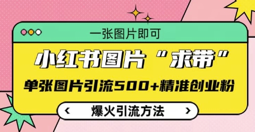 小红书图片‘求带’爆火引流法，单张图片引流500+精准创业粉【揭秘】-灵动共创
