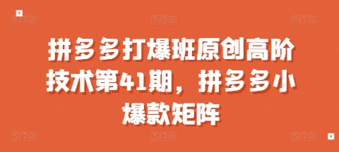 拼多多打爆班原创高阶技术第41期，拼多多小爆款矩阵-灵动共创
