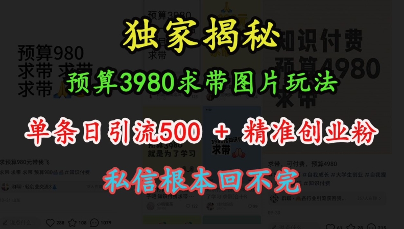 预算3980求带 图片玩法，单条日引流500+精准创业粉，私信根本回不完-灵动共创