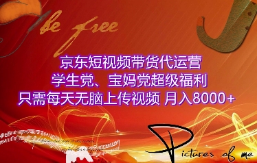 京东短视频带货代运营，学生党、宝妈党超级福利，只需每天无脑上传视频，月入8000+【仅揭秘】-灵动共创