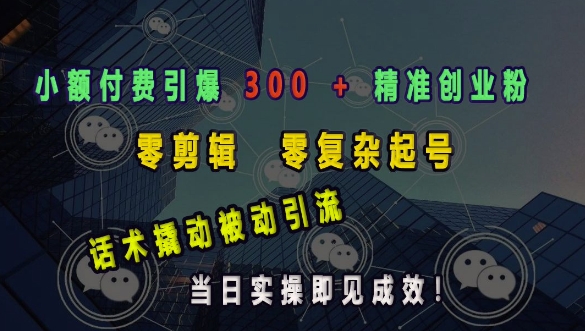 小额付费引爆 300 + 精准创业粉，零剪辑、零复杂起号，话术撬动被动引流，当日实操即见成效-灵动共创