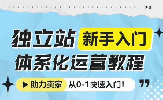 独立站新手入门体系化运营教程，助力独立站卖家从0-1快速入门!-灵动共创
