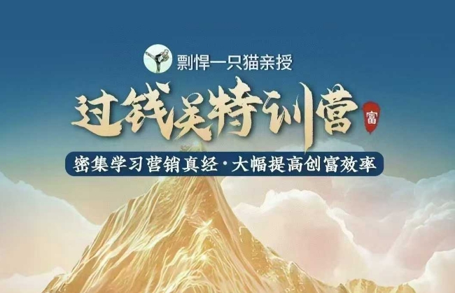剽悍一只猫-过钱关特训营，学习营销真经 大幅度提高创富效率-灵动共创