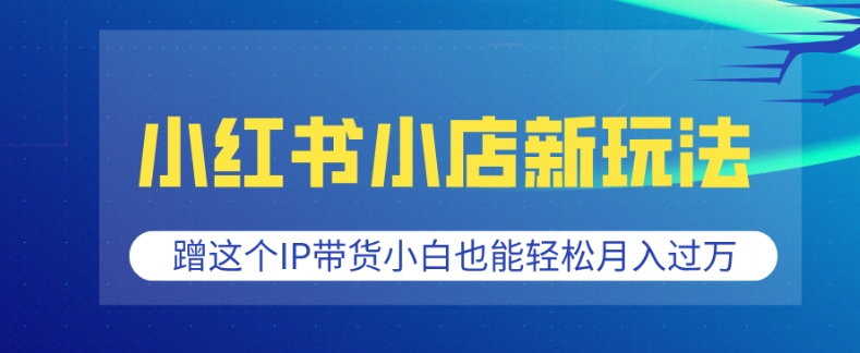 小红书小店新玩法，蹭这个IP带货，小白也能轻松月入过W【揭秘】-灵动共创