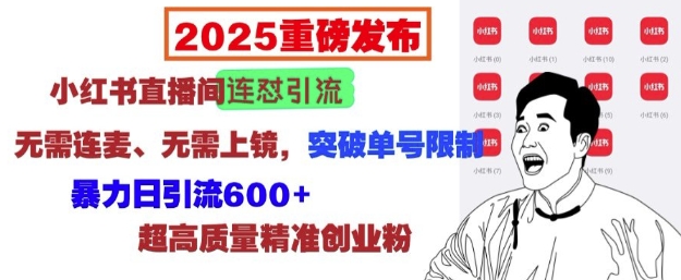 2025重磅发布：小红书直播间连怼引流，无需连麦、无需上镜，突破单号限制，暴力日引流600+-灵动共创