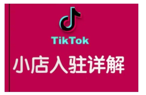 TikTok跨境小店运营全攻略，帮助你独立运营TK跨境小店的能力，实现销量增长-灵动共创