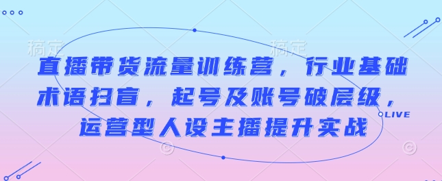 直播带货流量训练营，行业基础术语扫盲，起号及账号破层级，运营型人设主播提升实战-灵动共创