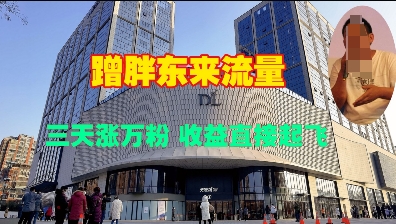 蹭胖东来流量，三天涨万粉，收益直接起飞-灵动共创