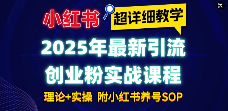 2025年最新小红书引流创业粉实战课程【超详细教学】小白轻松上手，月入1W+，附小红书养号SOP-灵动共创