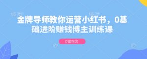 金牌导师教你运营小红书,0基础进阶赚钱博主训练课-灵动共创