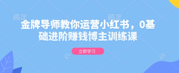 金牌导师教你运营小红书，0基础进阶赚钱博主训练课-灵动共创