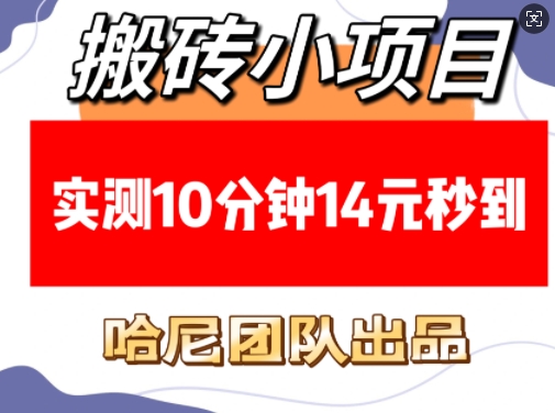 搬砖小项目，实测10分钟14元秒到，每天稳定几张(赠送必看稳定)-灵动共创