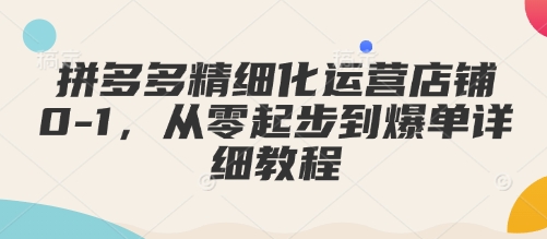 拼多多精细化运营店铺0-1，从零起步到爆单详细教程-灵动共创